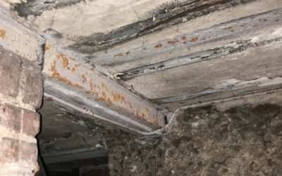 Comment détecter et prévenir les termites